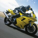 A2 QUANG CAO - laixehaivan.edu.vn