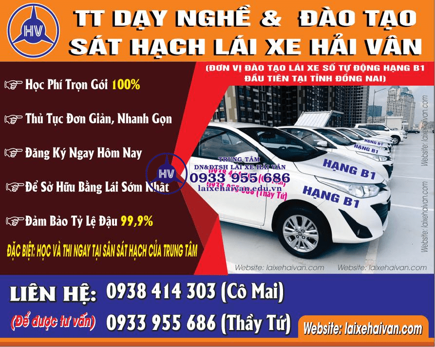 Picture1 1 - laixehaivan.edu.vn