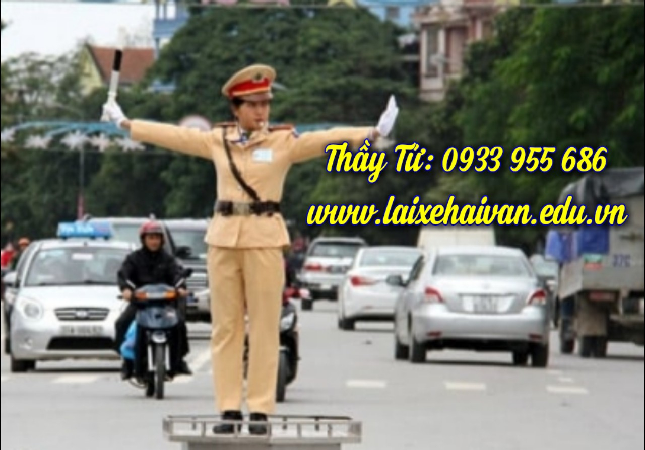 Picture1 - laixehaivan.edu.vn