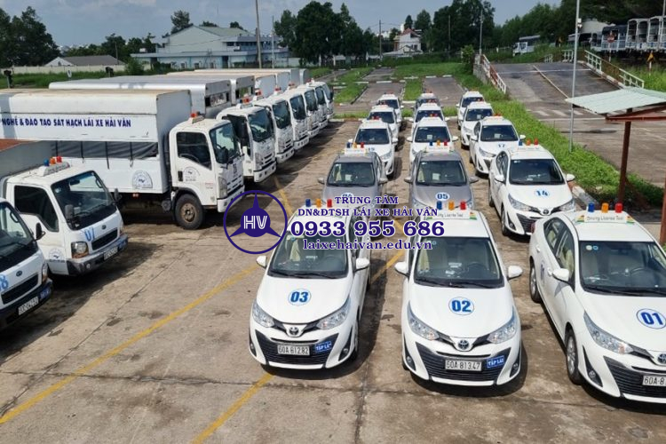 cho thue xe tap lai - laixehaivan.edu.vn