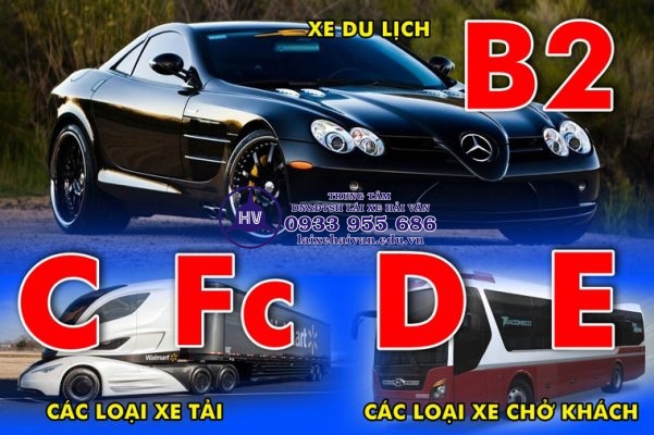 cac loai bang lai xe o to - laixehaivan.edu.vn