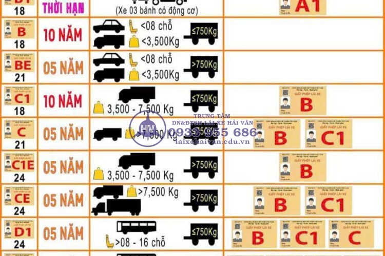 15 HANG GIAY PHEP LAI XE THEO PHAN HANG MOI - laixehaivan.edu.vn